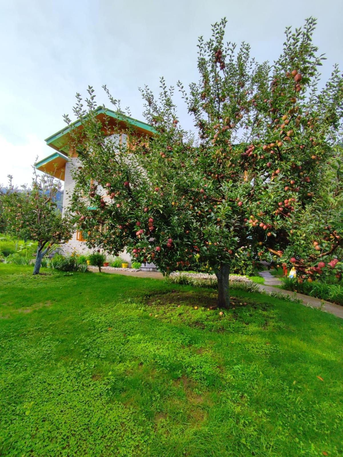 Cascade Mountain Retreat Manali Bed & Breakfast Exterior foto