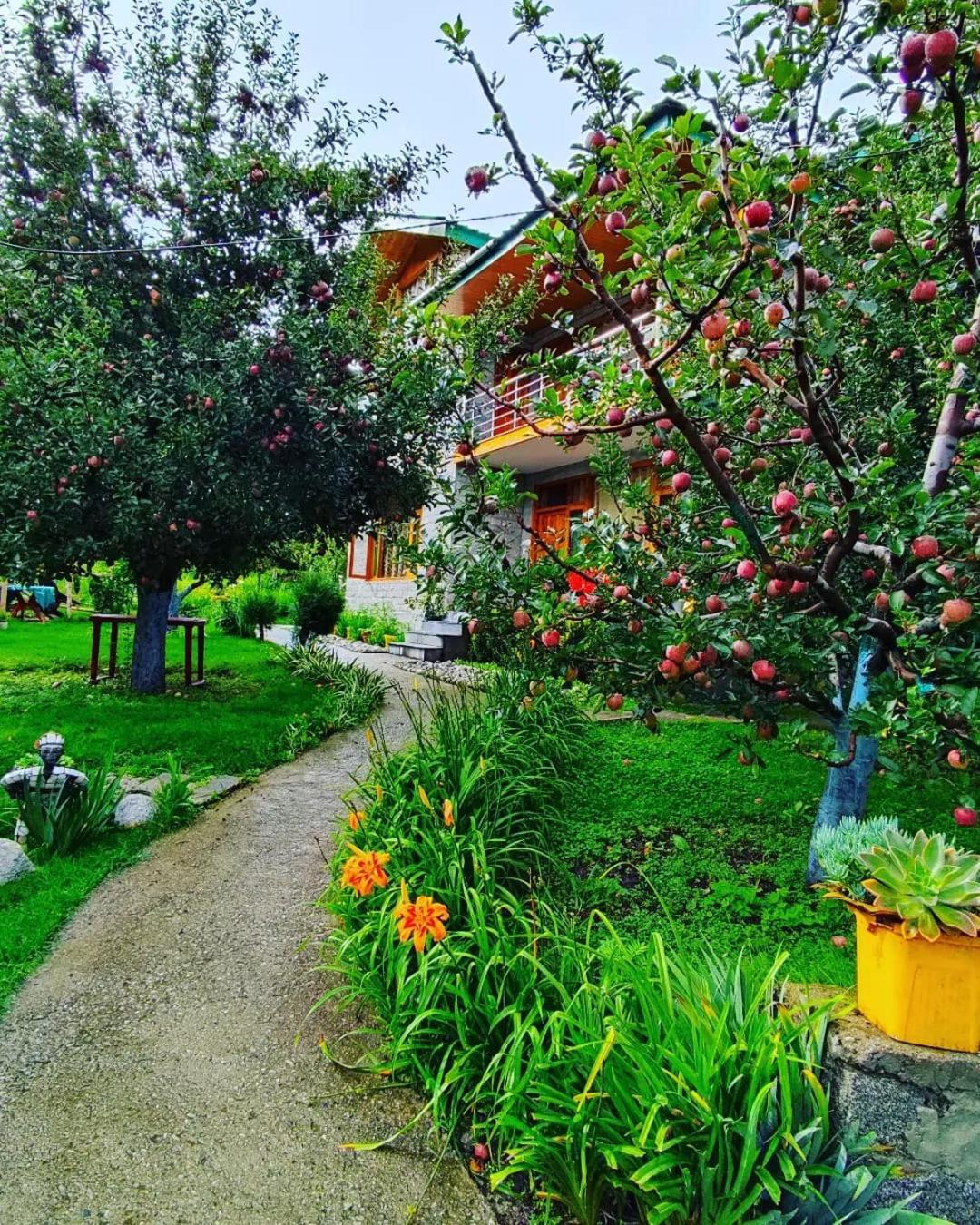 Cascade Mountain Retreat Manali Bed & Breakfast Exterior foto